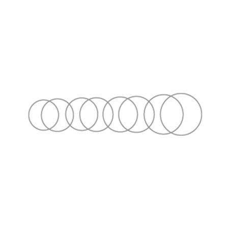 Flieringa Rings Set Of 8