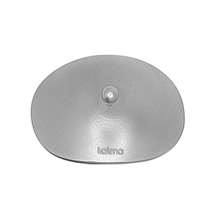 Scleral Shield Large Pair