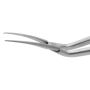 Fujita-Inamura CCC Forceps