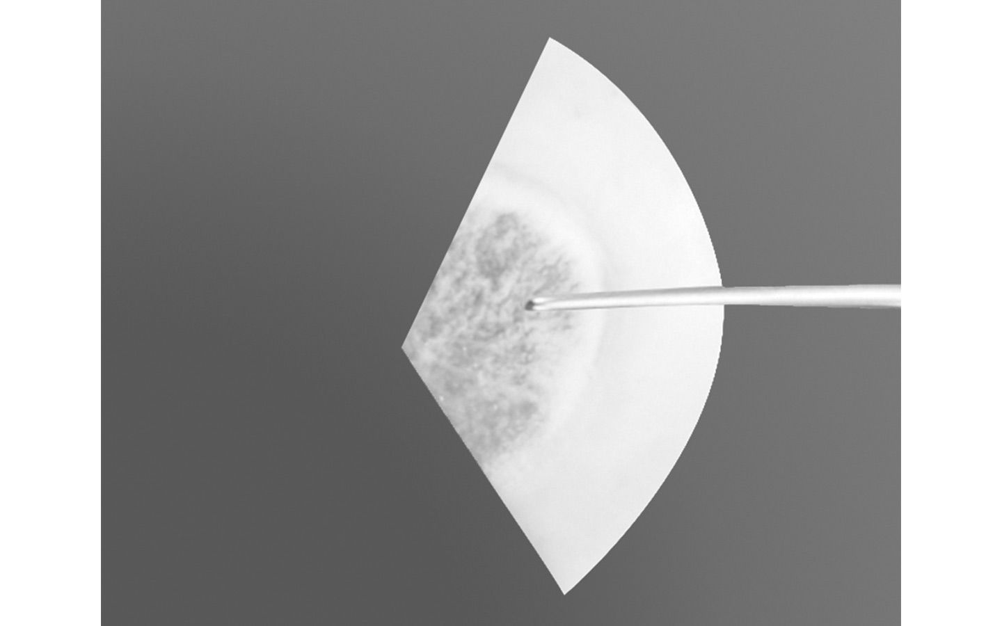 Tutoplast® Clear Cornea with Sclera - third piece