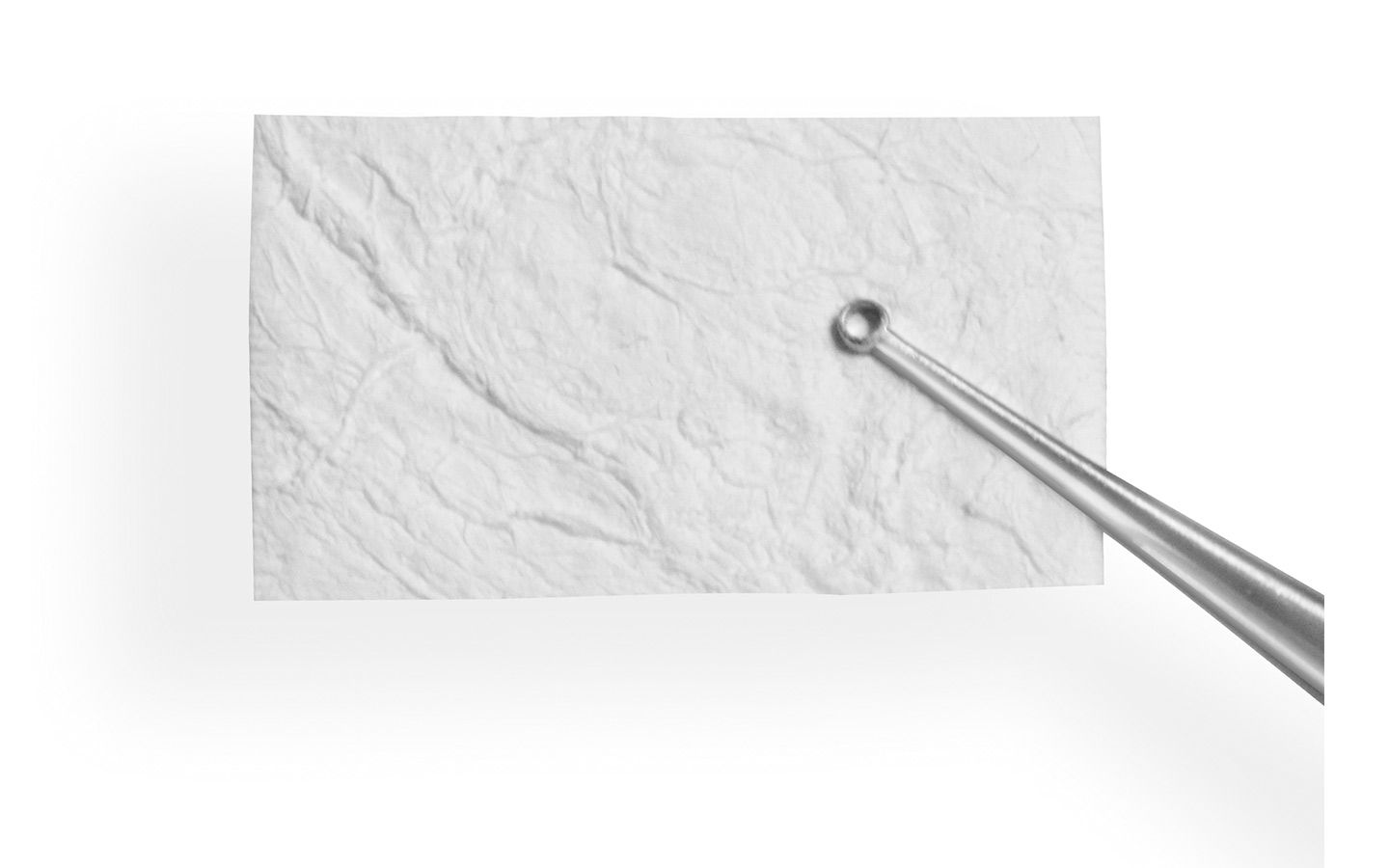 Tutoplast® Sclera - .6 x 1cm 