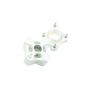 Barron Corneal Punch 8.0mm